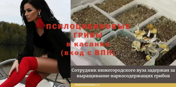 эйфоретик Протвино